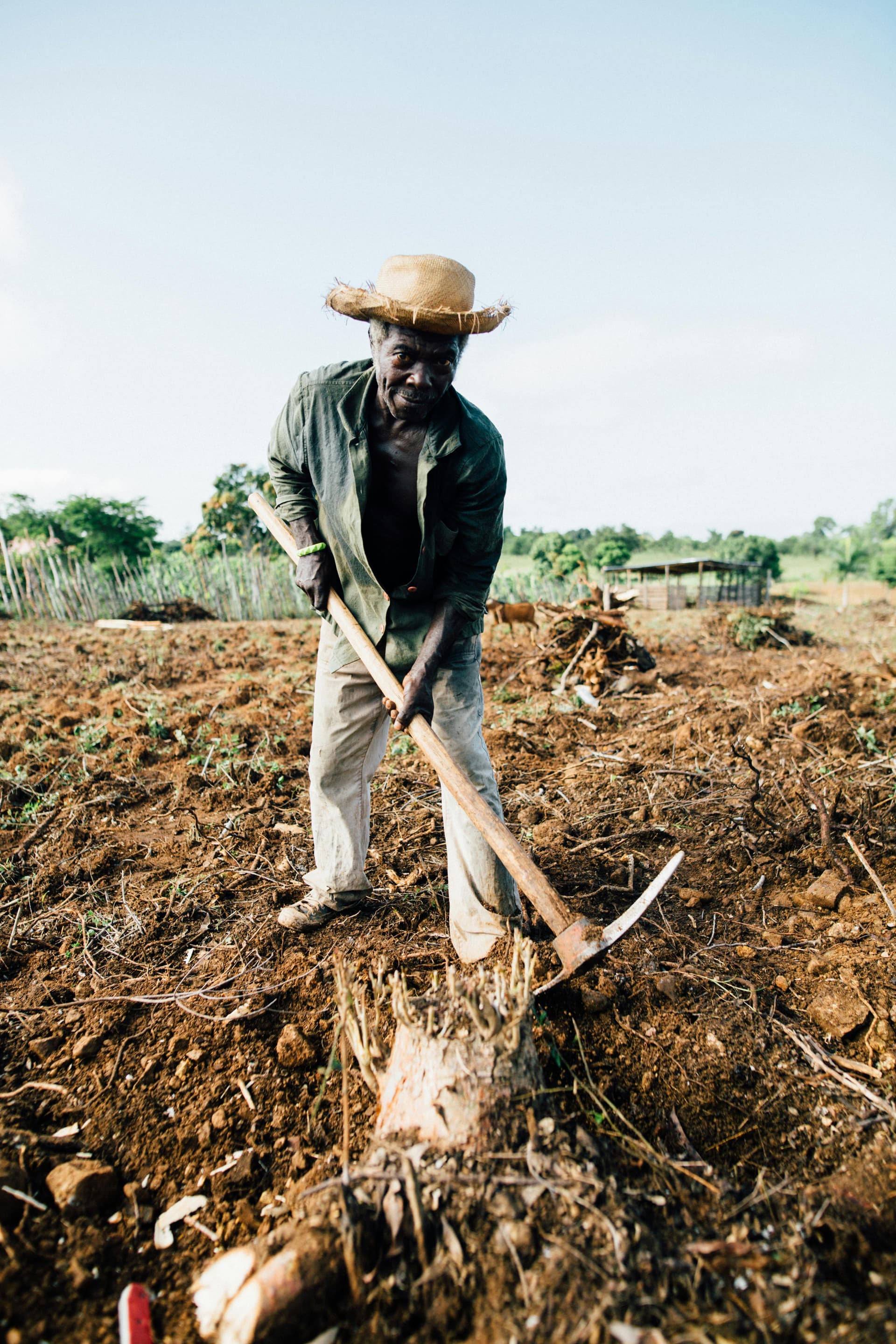 Farmer with fresh produce