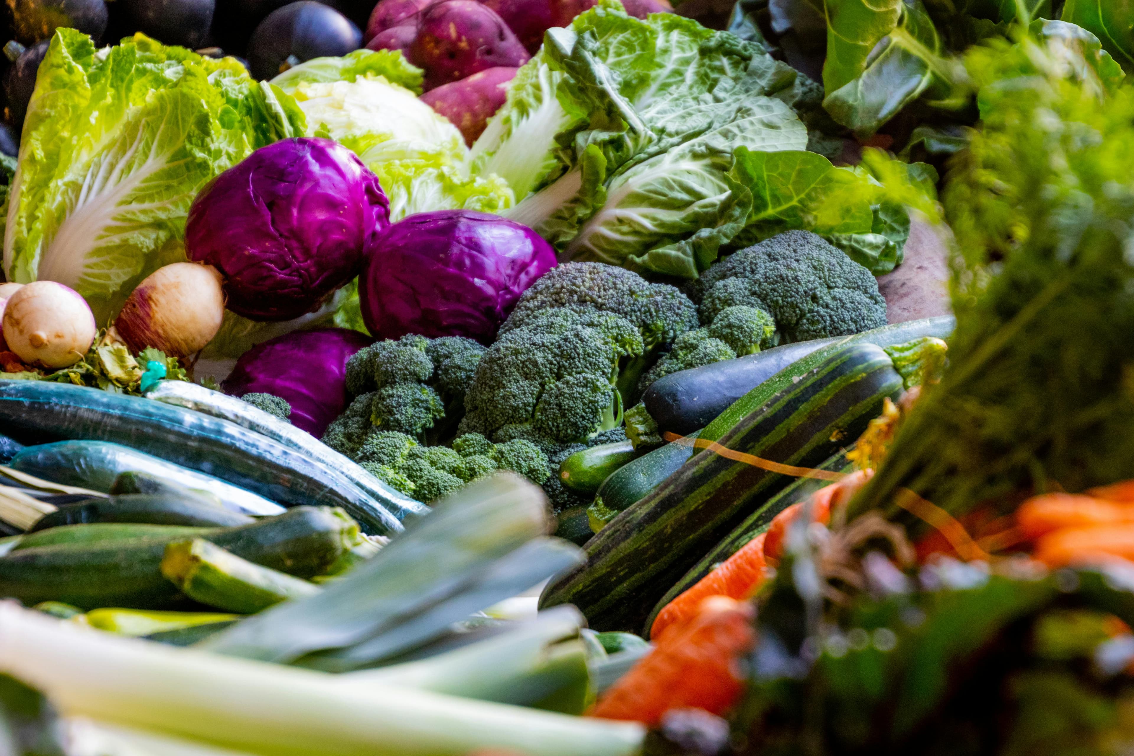 Fresh vegetables on dark background