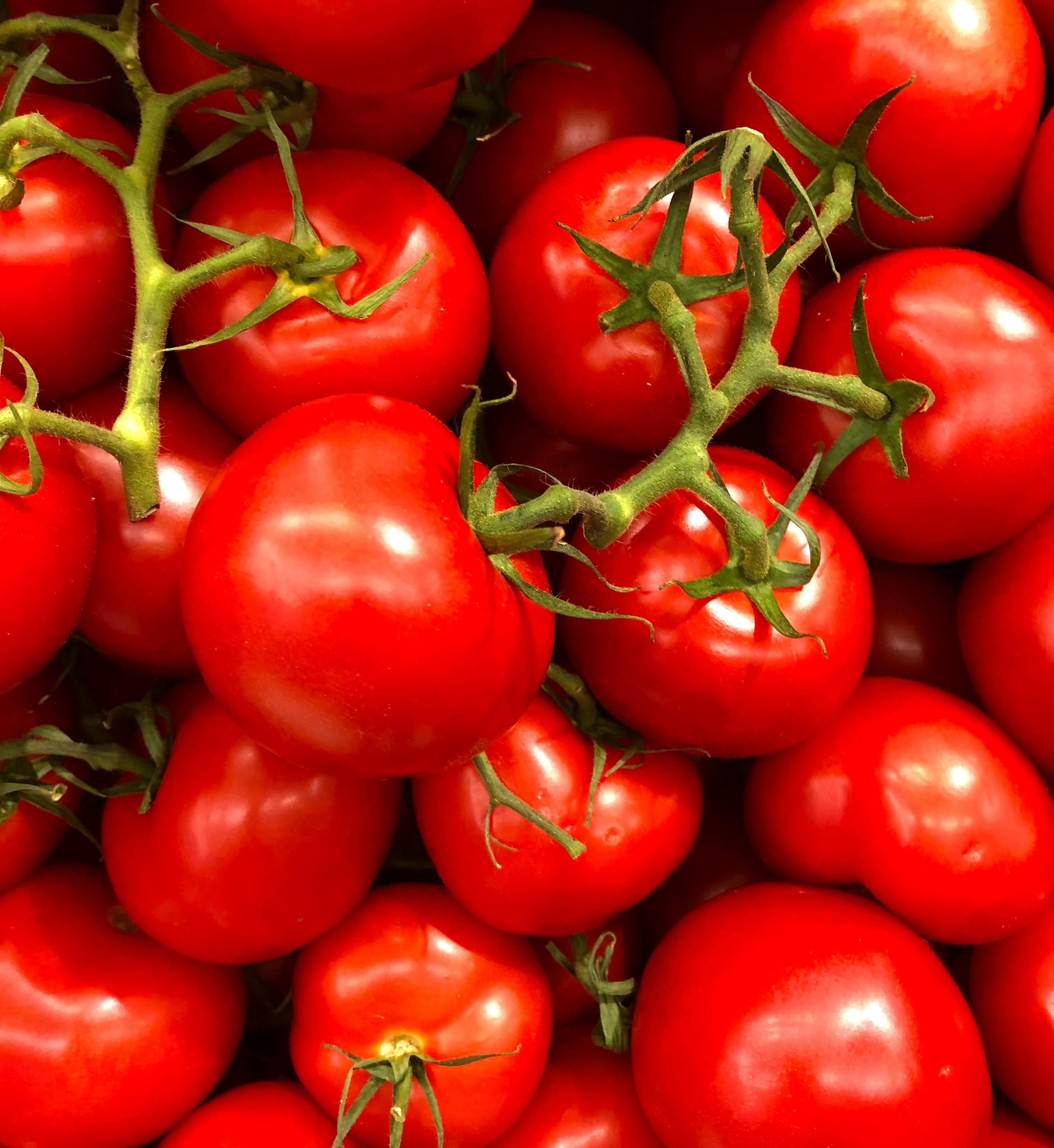 Red Tomatos