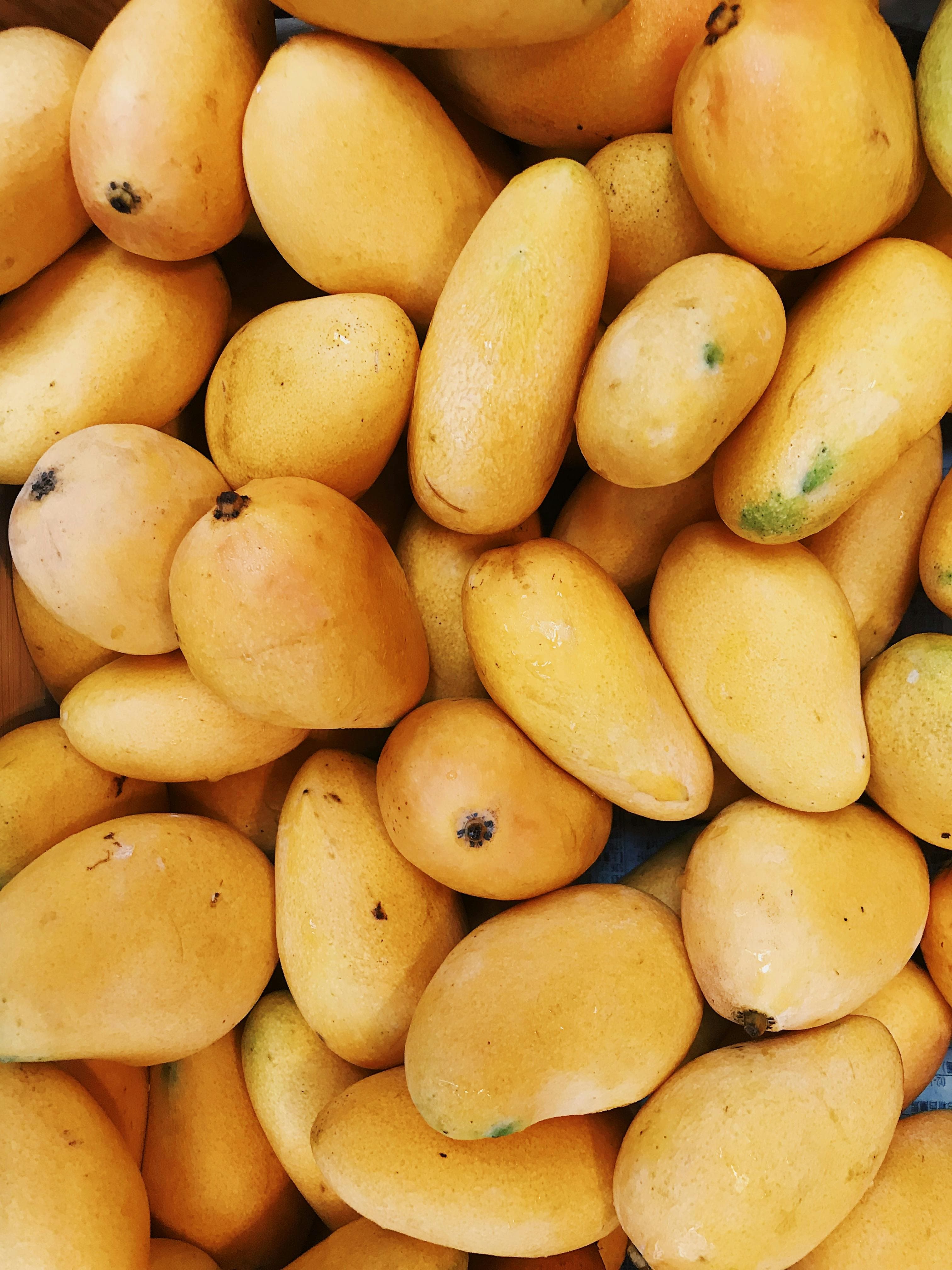 Surjapur Mango