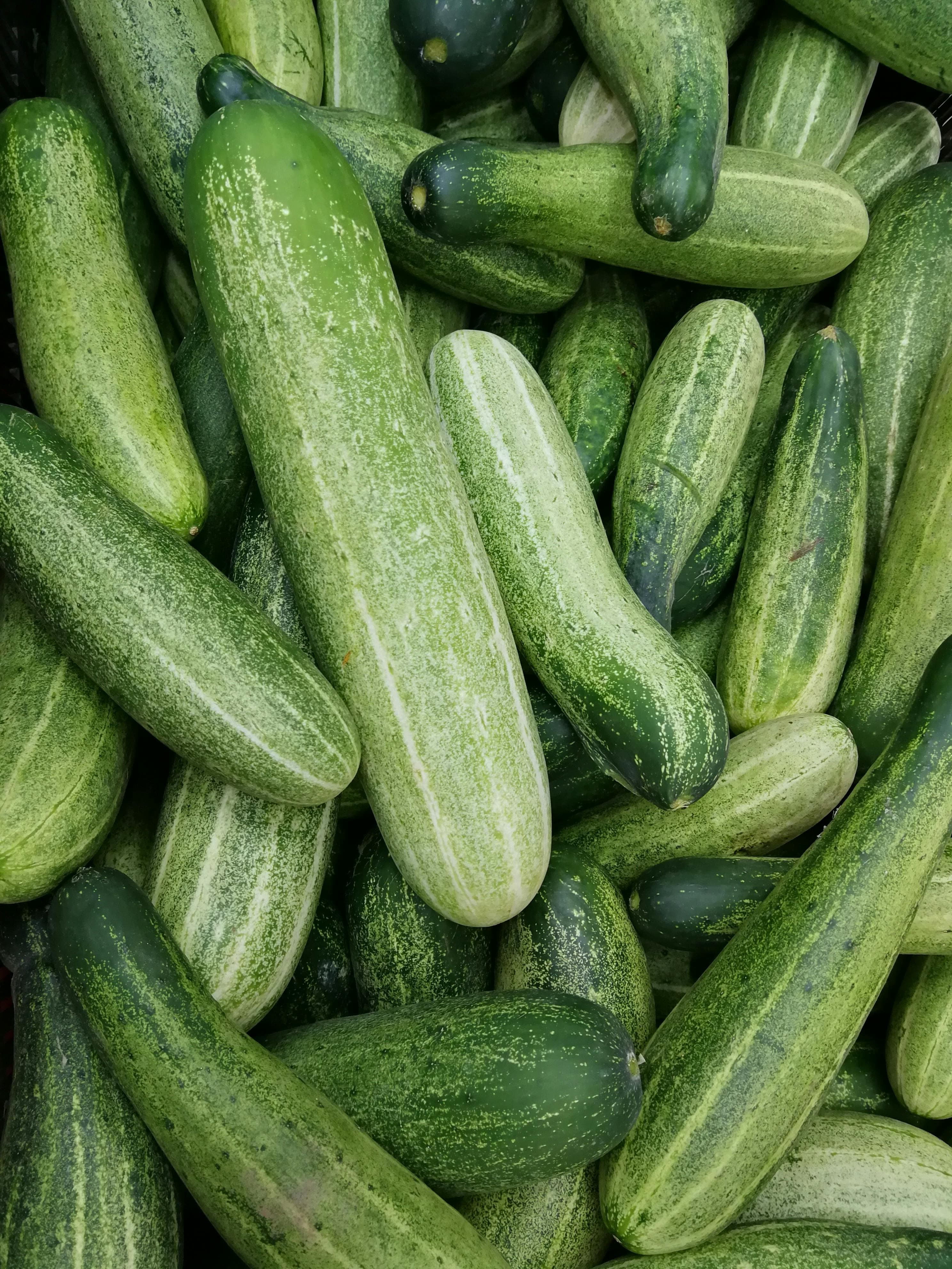 Organic Cucumbers