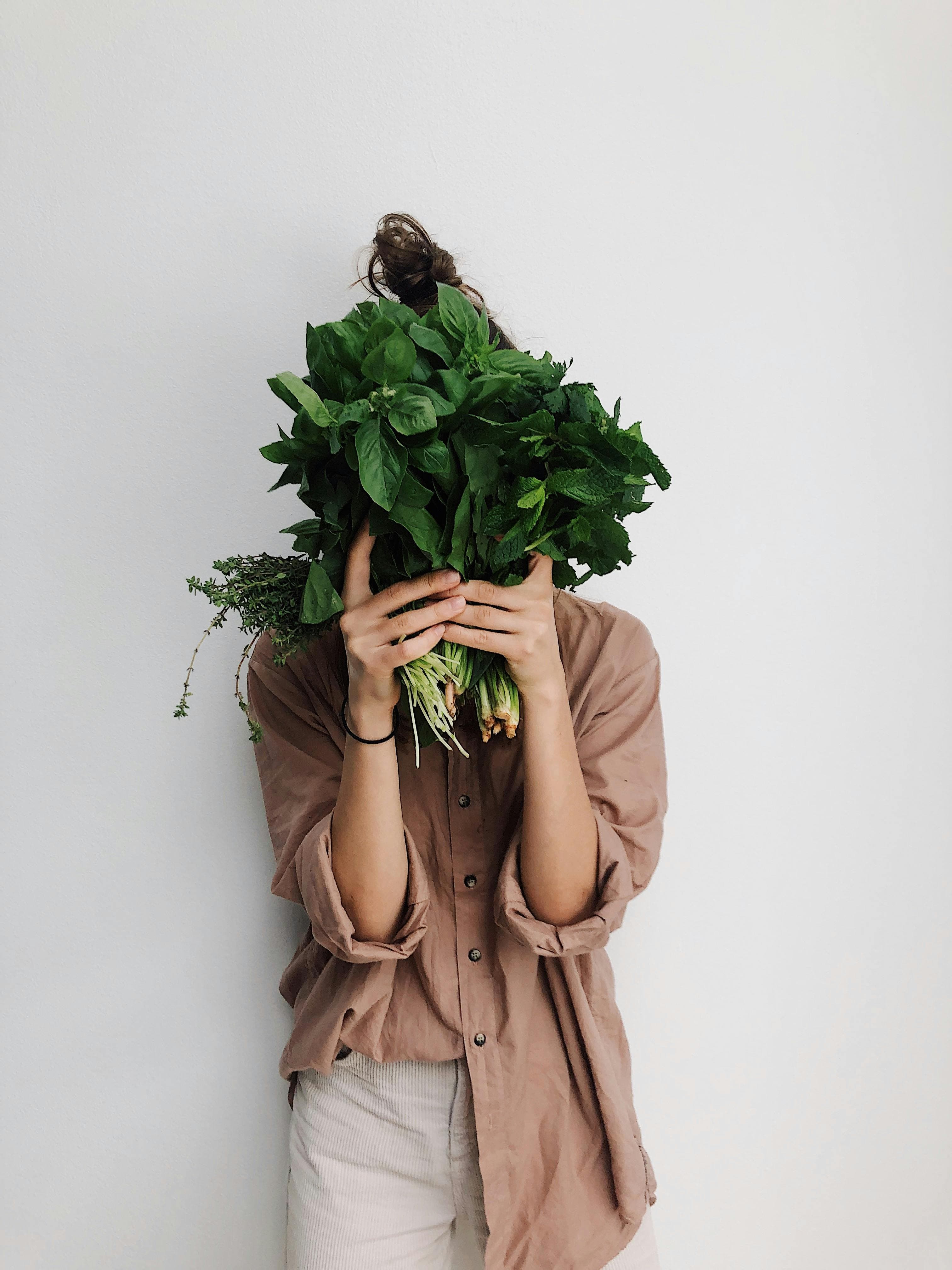 Fresh organic vegetables and fruits