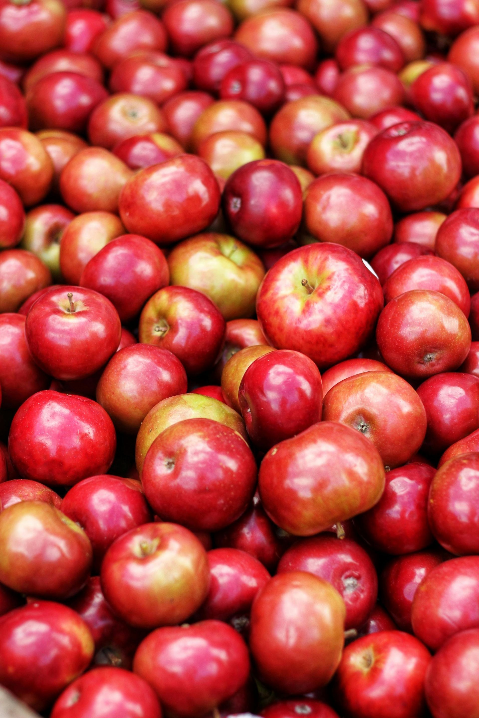 Green Apple