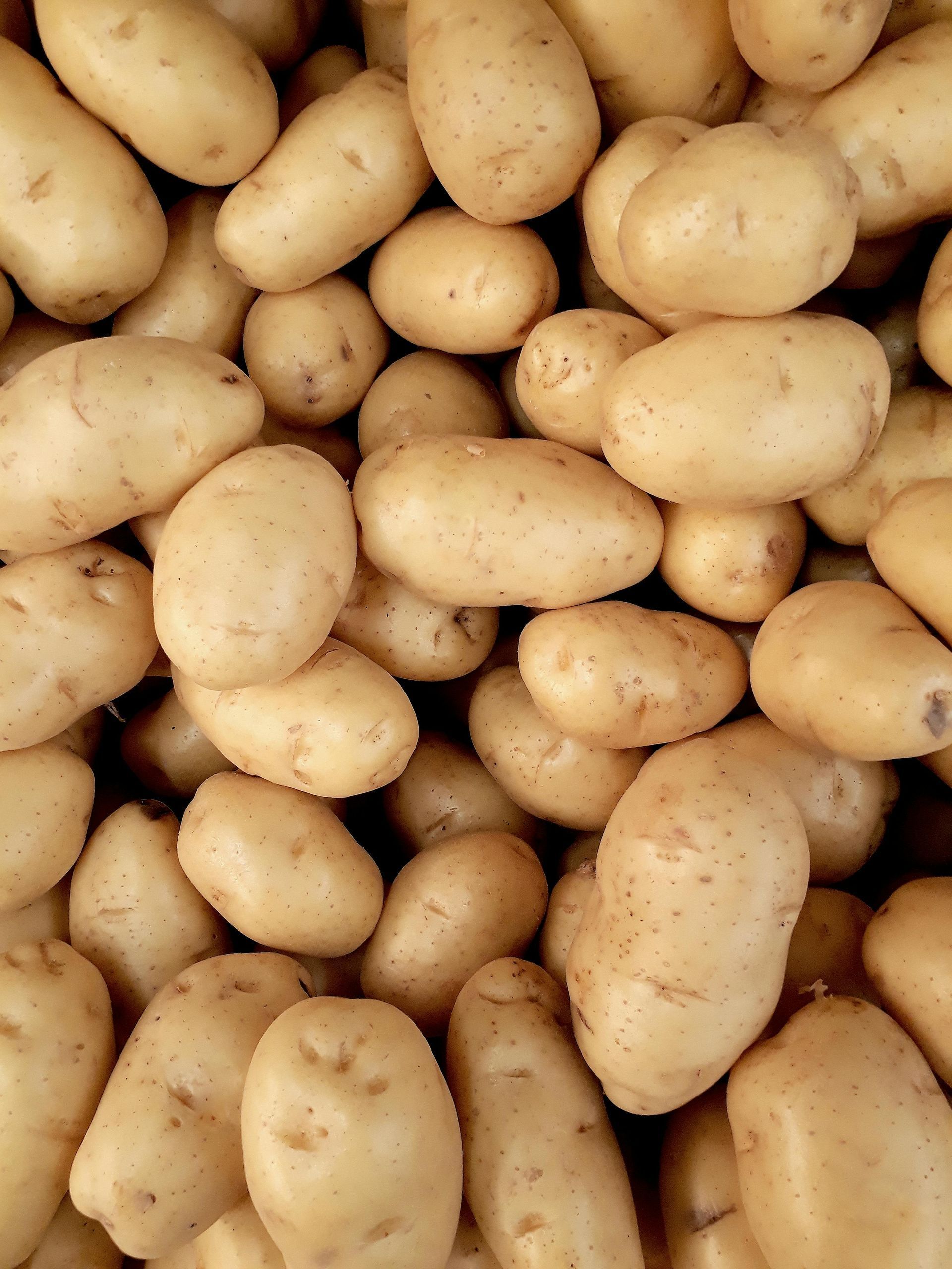Big Potatoes